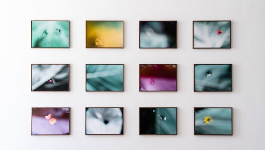 After Unseen, Marcel Wesdorp, Shigeo Arikawa, Hans Lemmen, 