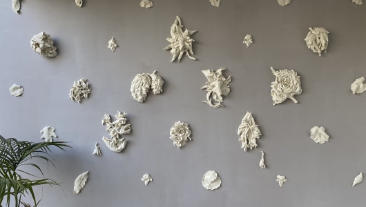 Message from nature, Ulrich Haug, Marja Kennis, 