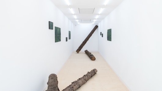 A Wilderness of Elsewheres, Eline Kersten, 