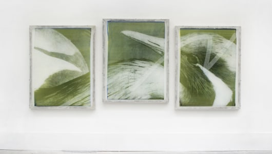 Unseen 2022, Jaya Pelupessy, Arjan de Nooy, Satijn Panyigay, 