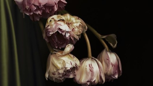 PAN Amsterdam 2022, Ilona Langbroek, Albarrán Cabrera, Casper Faassen, Cig Harvey, 