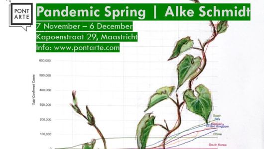 Pandemic Spring (& Birds of America), Alke Schmidt, 