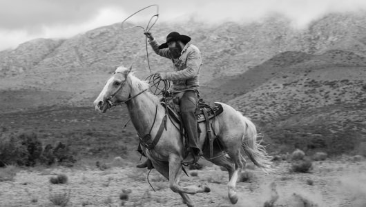 Art Rotterdam 2023, Bryan Schutmaat, Sanlé Sory, Jeroen Hofman, Hans van der Meer, Donavon Smallwood, 