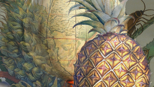 A journey through plants, Ella Reitsma.Snoep, 