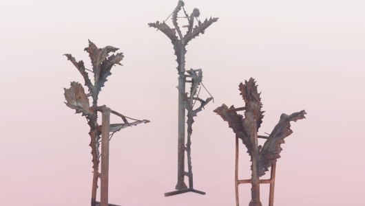 TATARNIK, Caroline Coolen, 