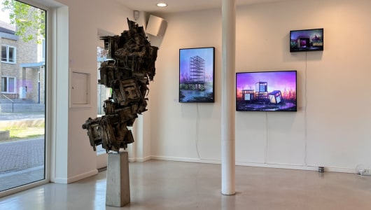 Shifting perspectives, Lisanne Hoogerwerf, 