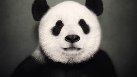 BETWEEN US, Vincent Lagrange, 