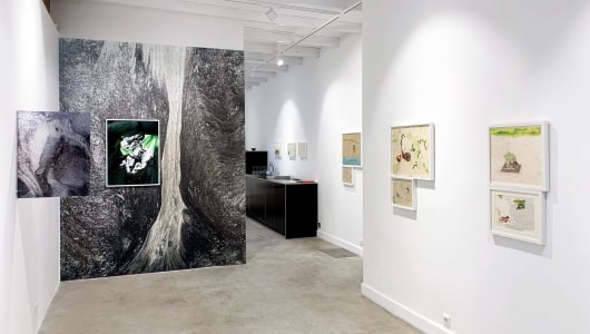 Becoming Earths, Elisa Strinna, Manjot Kaur, Anouk Kruithof, 