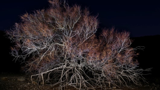 Daan Zuijderwijk | Wanting to meet the Earth, Daan Zuijderwijk, 