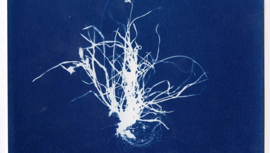 Grasses & The Great Moon Hoax, Anne Geene, Anne Geene, Arjan de Nooy, 