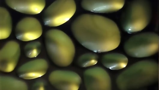 ART THE HAGUE, Gijs van Lith, Willi Siber, Bibi Smit, Frans Klerkx, 