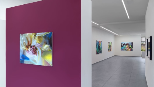 Our Spectral Gardens, Frank van den Broeck, Janice McNab, 