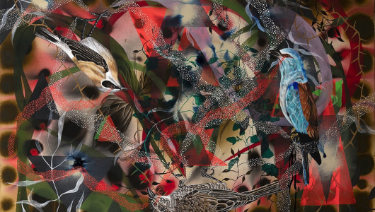 LAST LIGHT DOOR JAMES ALDRIDGE, James Aldridge, 