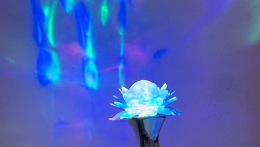 Blue Ray One, Frederique Jonker, 