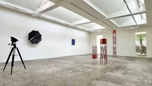 pseudo ziel of goddelijke vonk, Wido Blokland, 