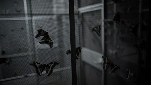 When it's almost dark, Giorgio Andreotta Calò, 