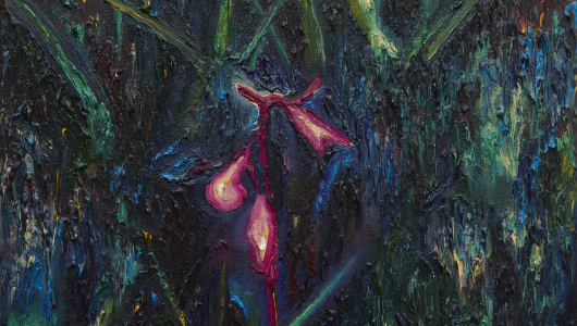 Letters to my Grandfather, Krijn Kroes, 