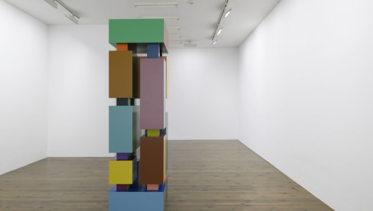 Provisional, Krijn de Koning, 