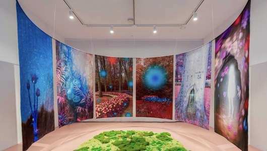 Metamorphosis, Claudia Fuggetti, 