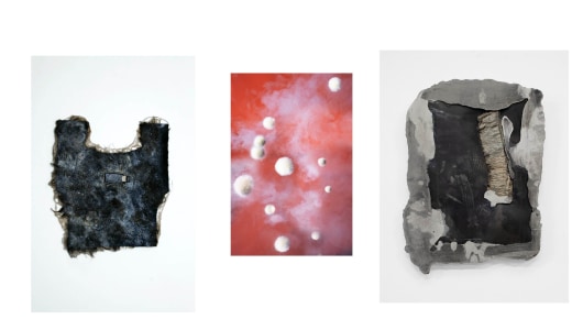 Annebel, Louise en Maaike op ATH 2024, Maaike Kramer, Louise te Poele, Annebel Bruschinski, 