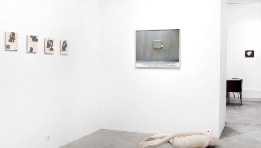 Bird, Plane, Butterfly, Antoinette Nausikaä, 