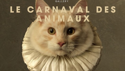 Le Carnaval des Animaux, Marie Cecile Thijs, Marc Lagrange, Ingo Arndt, Matthijs Scholten, Vincent Lagrange, Jorna Nelson Napurrula, 