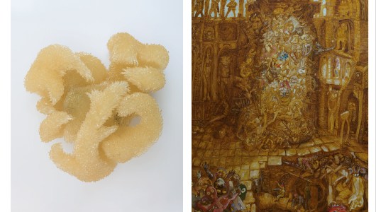 Mapping inside out, Jan Verbruggen, Joke Raes, 