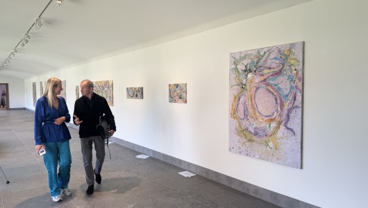 MARC MULDERS: A GARDEN PATH Van den Brinkgalerij, Marc Mulders, 