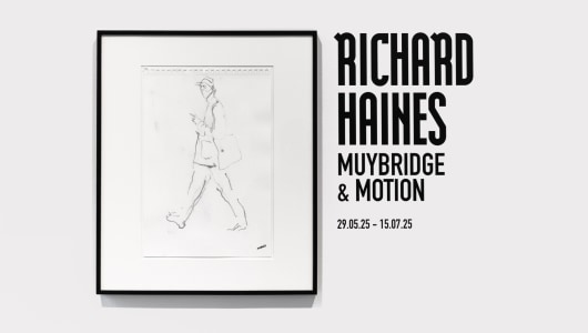 Muybridge & Motion, Richard Haines, 