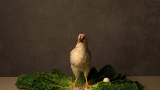 Solo, Marie Cecile Thijs, 