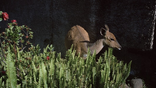 THEN/NOW/NEXT — 10th anniversary exhibition, Antoinette Nausikaä, Anne Geene, Maura Biava, Tanja Engelberts, Jaya Pelupessy, Arjan de Nooy, Witho Worms, Sarah Mei Herman, Satijn Panyigay, Ola Lanko, Anastasia Samoylova, Elisa Strinna, Bart Lunenburg, Milah van Zuilen, Lucas Leffler, Manjot Kaur, misha de ridder, Mounir Raji, Anthony Ngoya, Lucas Foglia, Aaryan Sinha, Sander Coers, 