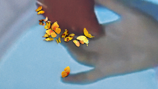 NAP+ 2025, Pauline Curnier Jardin, Daniele Formica, 