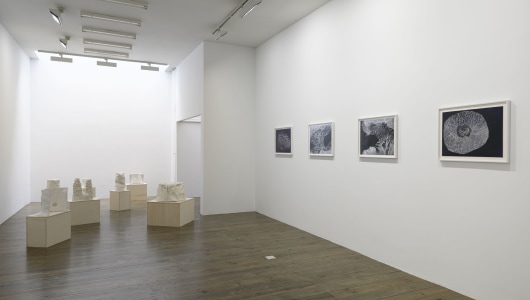 Shining Through, Adam Colton, 