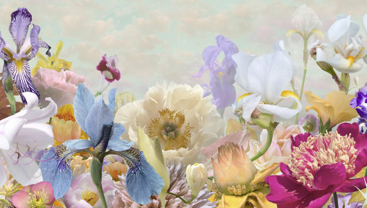 Galerie Fontana @ PAN Amsterdam 2025, Jan Banning, Hannes Wallrafen, Marchand & Meffre, Juliane Hundertmark, Carolein Smit, Claudy Jongstra, Thijs Segers, Hellen van Meene, Ruud van Empel, Jacquie Maria Wessels, Inez de Brauw, Boris van Berkum, Asya Marakulina, 