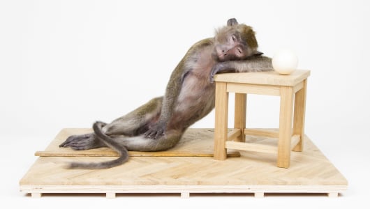 Argent, Atelier les deux garçons, 