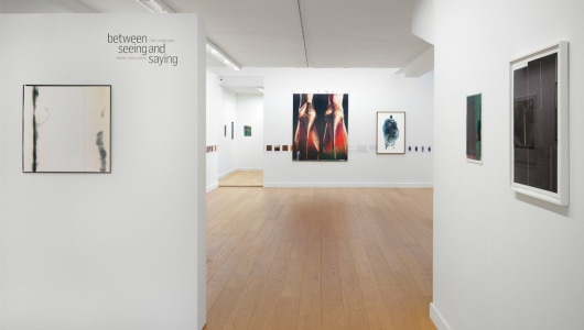 Between Seeing and Saying, Marike Schuurman, Marc Nagtzaam, 