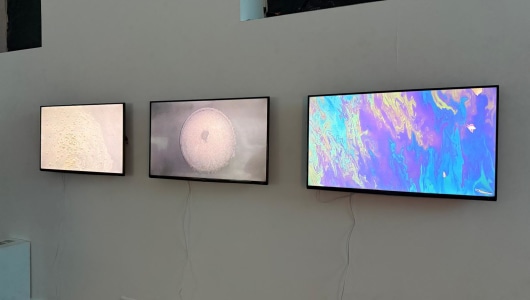 The Movies in my Head, Inge Reisberman, Rozemarijn Westerink, Miloushka Bokma, Louise te Poele, Thijs Linssen, Tony Dočekal, 