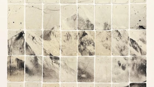 2026 JOOST VANDEBRUG: NOT YET THE IMAGE, Joost Vandebrug, 