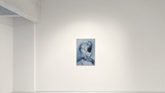 Under Observation, Stefaan Vermuyten, 