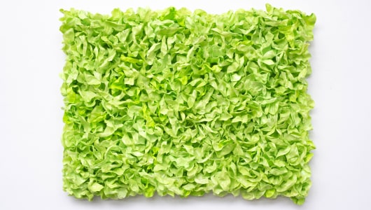 The Garden Remembers, Beppe Kessler, Kiki van Eijk, Simone Post, Stefan Gross, Sofie Aaldering, Hilde Trip, Kim Simonsson, Alfhild Sarah Külper, Poppykalas, Frits Achten, 