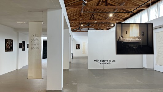 Mijn liefste Teun, Tahné Kleijn, 