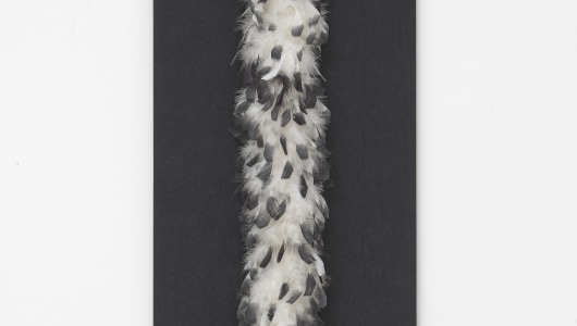 Art Rotterdam 2026, Willem Hussem, David Roth, Paul Beumer, Maja Klaassens, Henk Peeters, Jacqueline de Jong, 