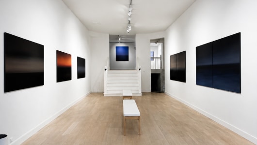 DIRK ROSEPORT/TRANSCENDENTAL TRANQUILITY, Dirk Roseport, 