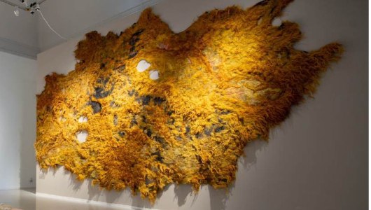 An Encounter in Materials, Nature and Time, Gerbrand Burger, Claudy Jongstra, Mirte van Laarhoven, 