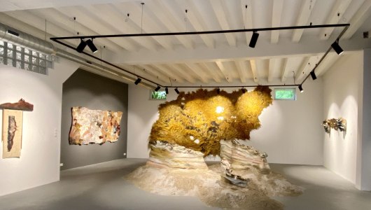 An Encounter:  Materials, Nature and Time, Gerbrand Burger, Claudy Jongstra, Mirte van Laarhoven, 