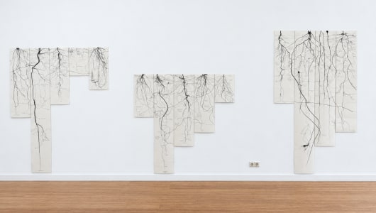 Notes on Soils, Light and Gravity, Milena Bonilla, 