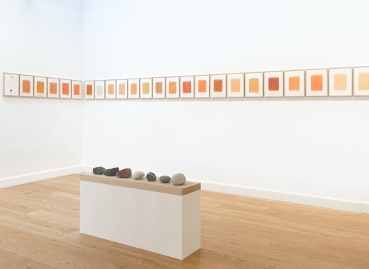 Bradwolff & Partners