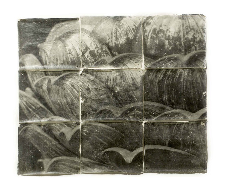 Structure of Thought #5 | Doug & Mike Starn | Gallery Vi