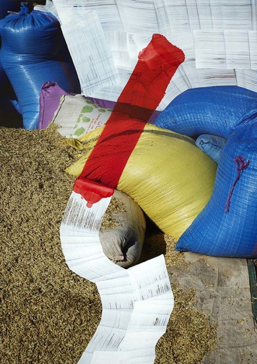 Signe | Viviane Sassen | Gallery Viewer