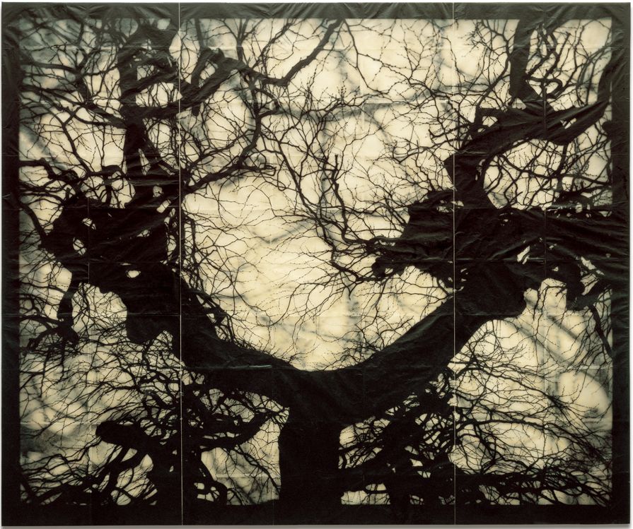 Structure of Thought #5 | Doug & Mike Starn | Gallery Vi